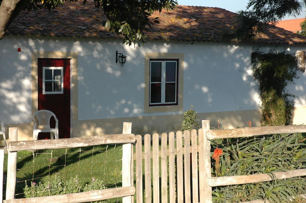 Casa Da Tia Guida Bed & Breakfast Golegã Eksteriør bilde